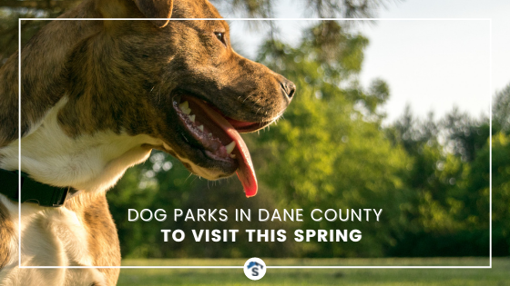 Dane County Dog Parks